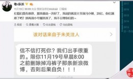 爆料博主被威胁视频播放,爆料博主遭遇威胁，视频播放背后惊心动魄